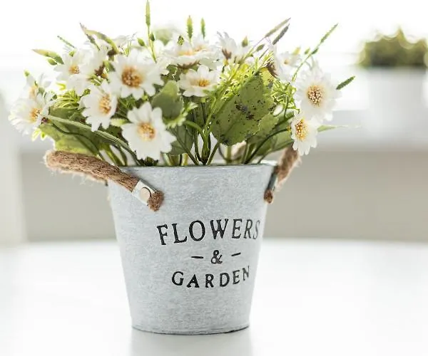 Przytulny Apartament Victus Przyjazny Zwierzetom By Noclegi Renters