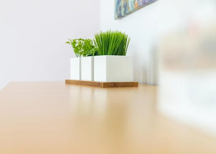 Przytulny Apartament Victus Przyjazny Zwierzetom By Noclegi Renters Sopot